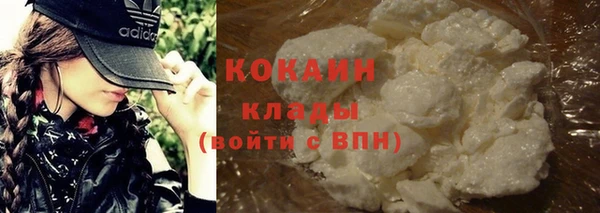 дживик Баксан